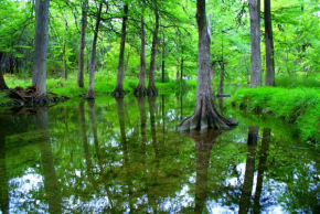 Deer Run-Cottage, Wimberley